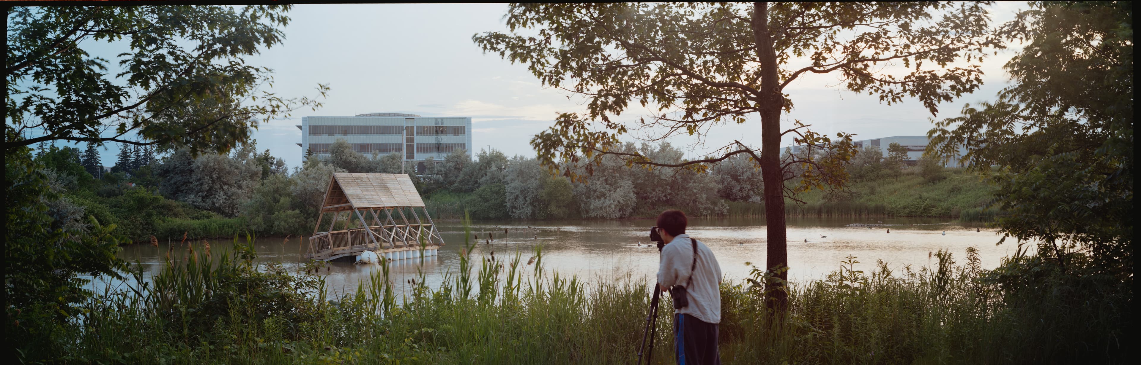 A 6x17 panoramic of the pond along Laurel Trail at sunset.
