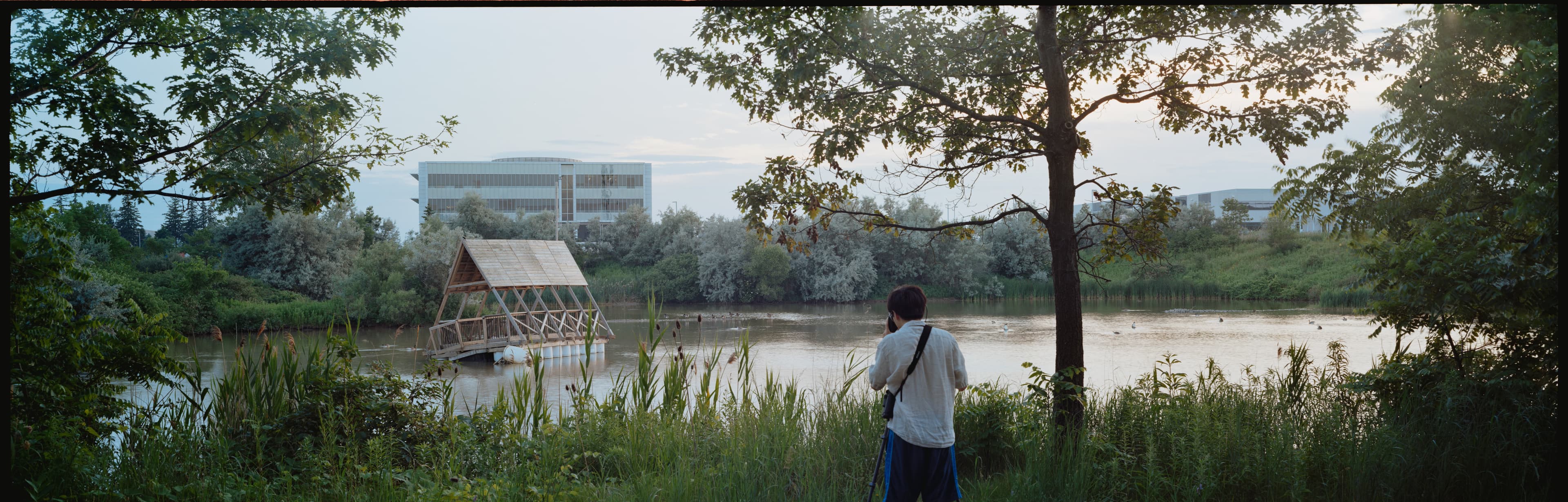 A 6x17 panoramic of the pond along Laurel Trail at sunset.